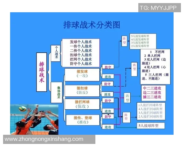 杭州排球队与西安排球队耐力对决的赛后分析与反思