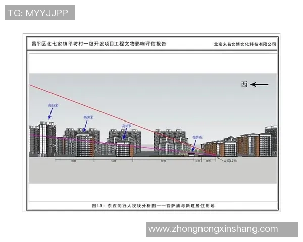 武汉篮球队在钻石联赛中的表现分析与状态评估 武汉篮球队在钻石联赛中的表现分析与状态评估
