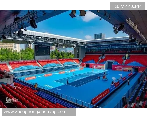 西安网球队在杯赛中的实力展现与战术分析 西安网球队在杯赛中的实力展现与战术分析