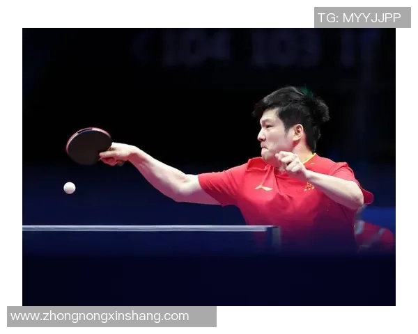 聚焦乒乓球：杭州乒乓球队的耐力话题