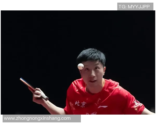 乒乓球纪实：记录南京乒乓球队的转型之路