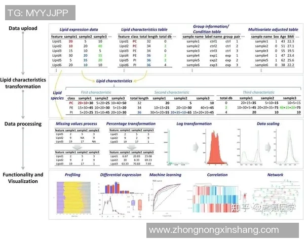 数据分析:IG的技术表现 数据分析:IG的技术表现