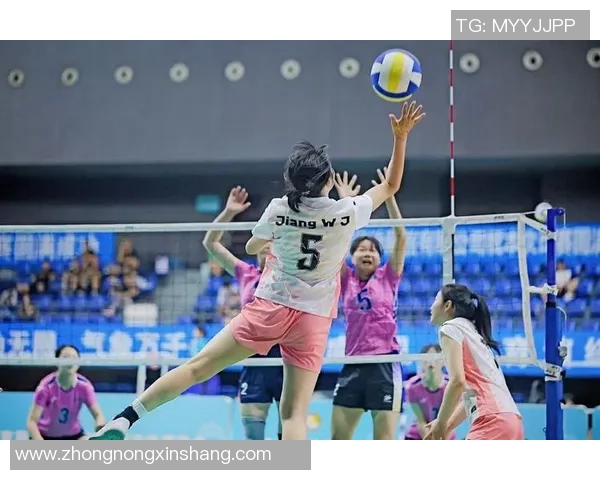 排球焦点：成都排球队的战术探讨