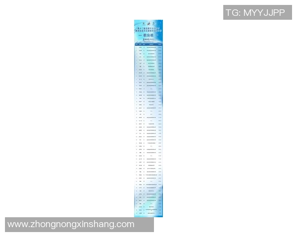 权威发布：滑板比赛经验实力榜单