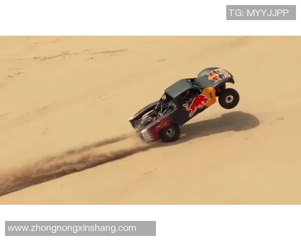 极限运动评论：重庆极限运动队的进攻得失