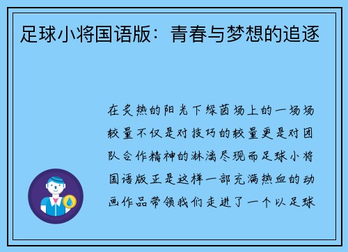 足球小将国语版：青春与梦想的追逐