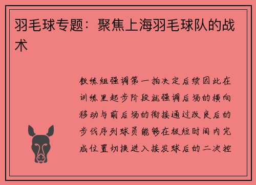 羽毛球专题：聚焦上海羽毛球队的战术