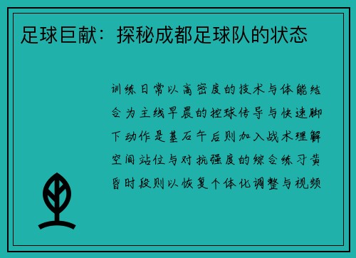 足球巨献：探秘成都足球队的状态
